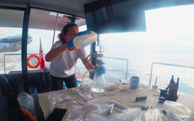 Results from ATLANTIDA’s ocean research excursions in summer