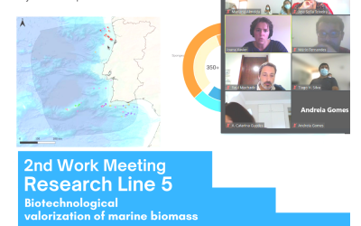 Research Line 5 carries out its second work meeting on behalf of the ATLANTIDA project
